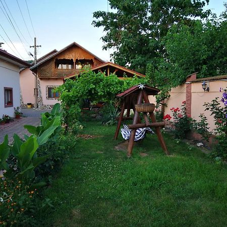 Vila Speranta Plescoi Экстерьер фото