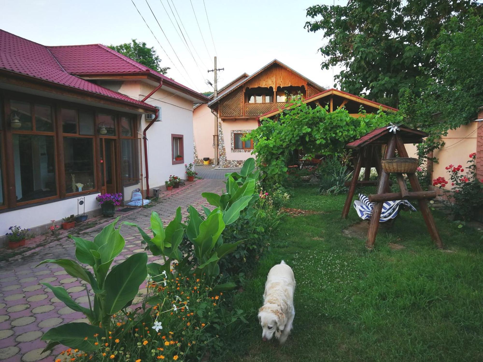 Vila Speranta Plescoi Экстерьер фото